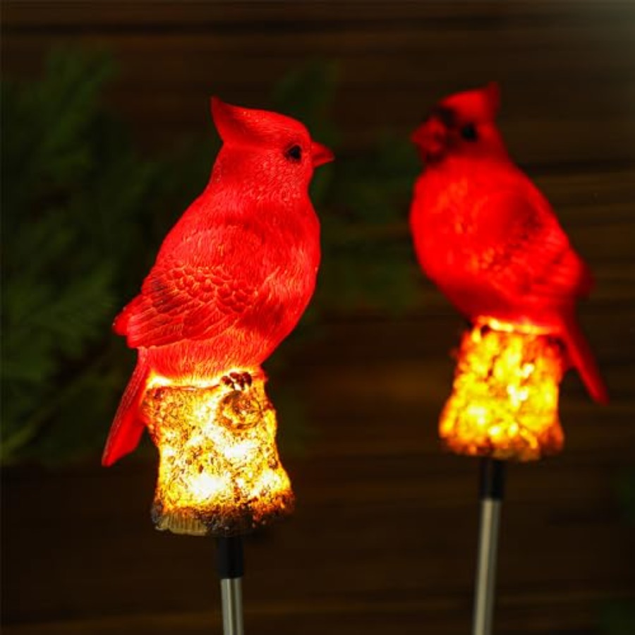4 Pack Solar Cardinal Gifts St - Outdoor Lighting Japan avis et prix