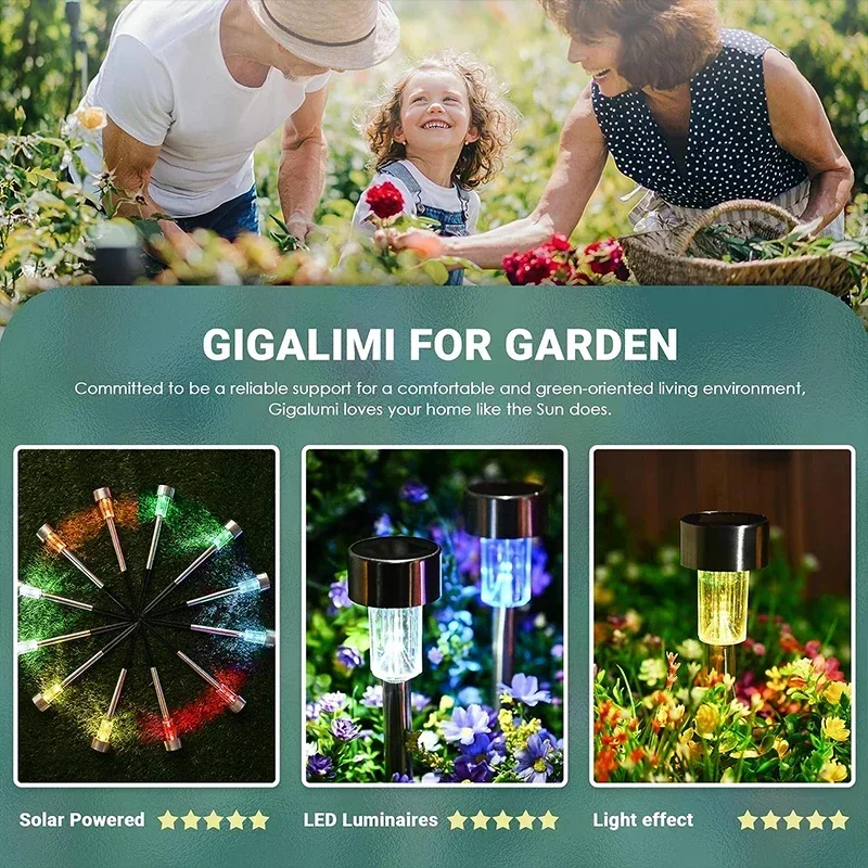 Solar Outdoor Lights Garden La - Landscape Spike Light avis et prix