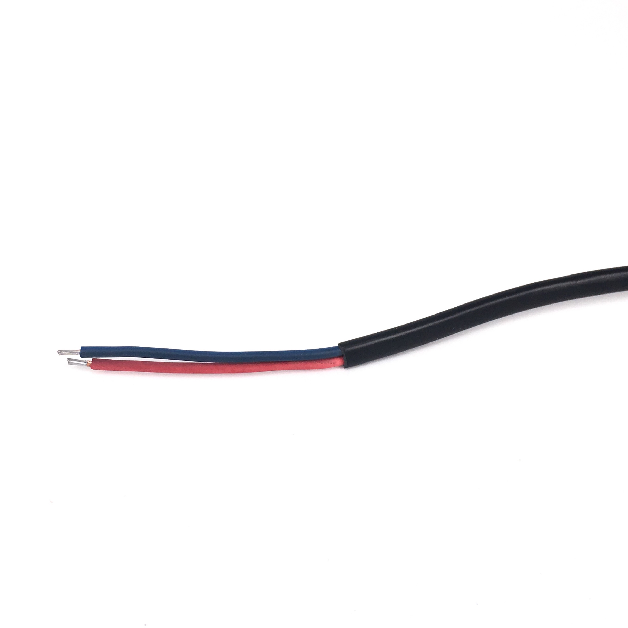 Bltdz EU European AC Power Ext - Outdoor Lighting Japan avis et prix