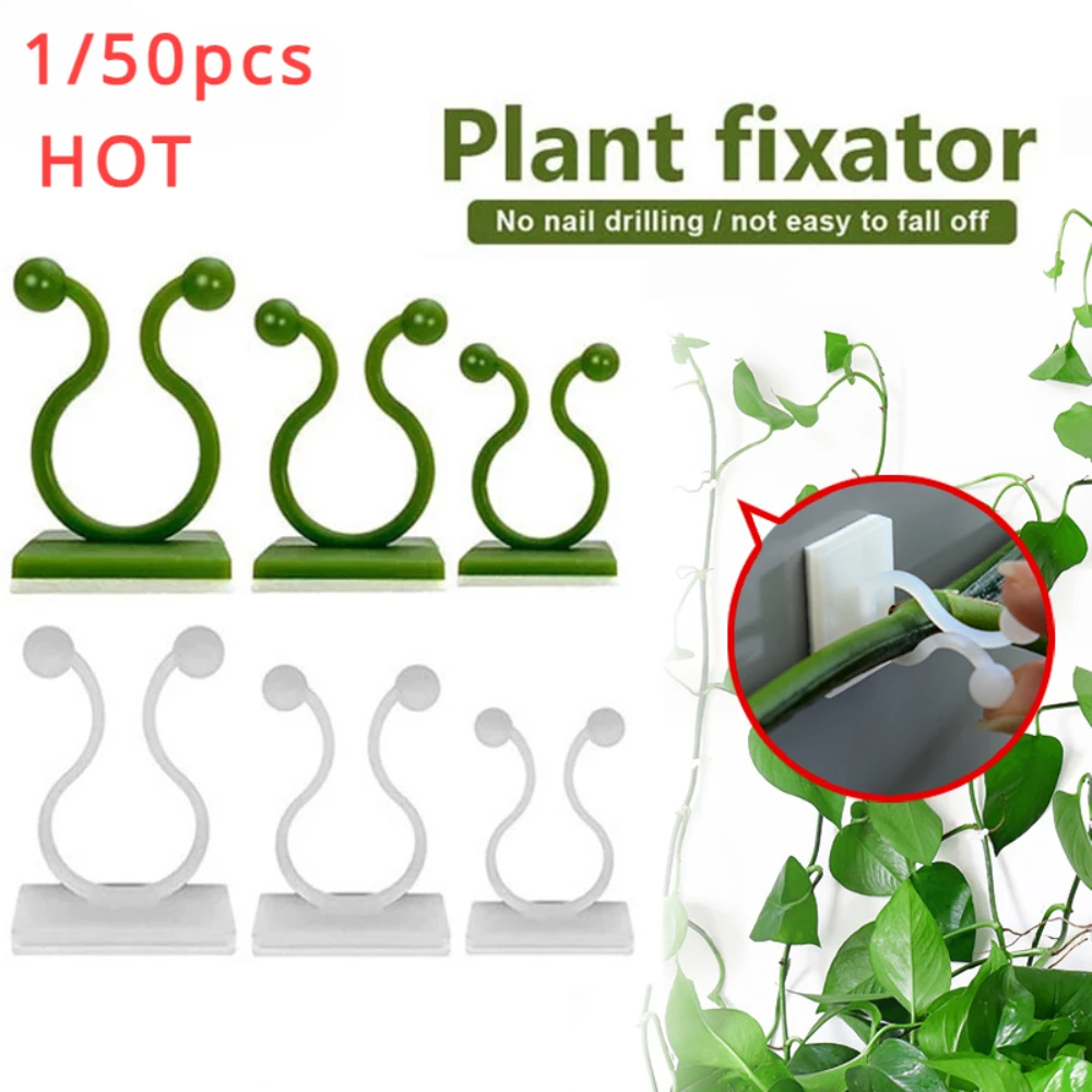 1/30/50Pcs For Garden Accsesor - Outdoor Lighting Linear avis et prix
