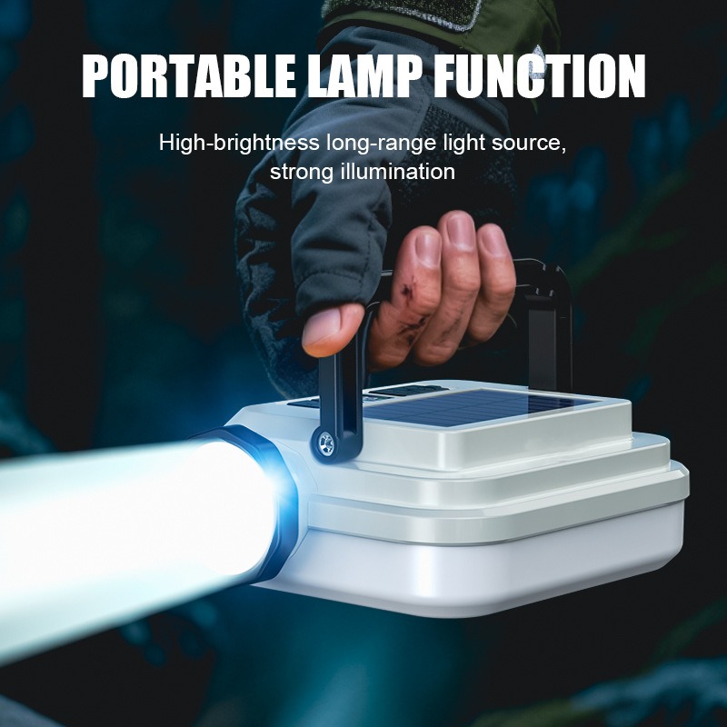 PACOONE Multifunctional Campin - Outdoor Lighting Transformer avis et prix