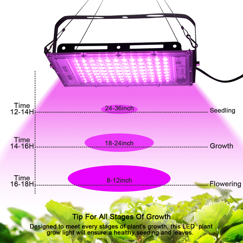 Full Spectrum LED Grow Light P - Outdoor Lighting Transformer avis et prix