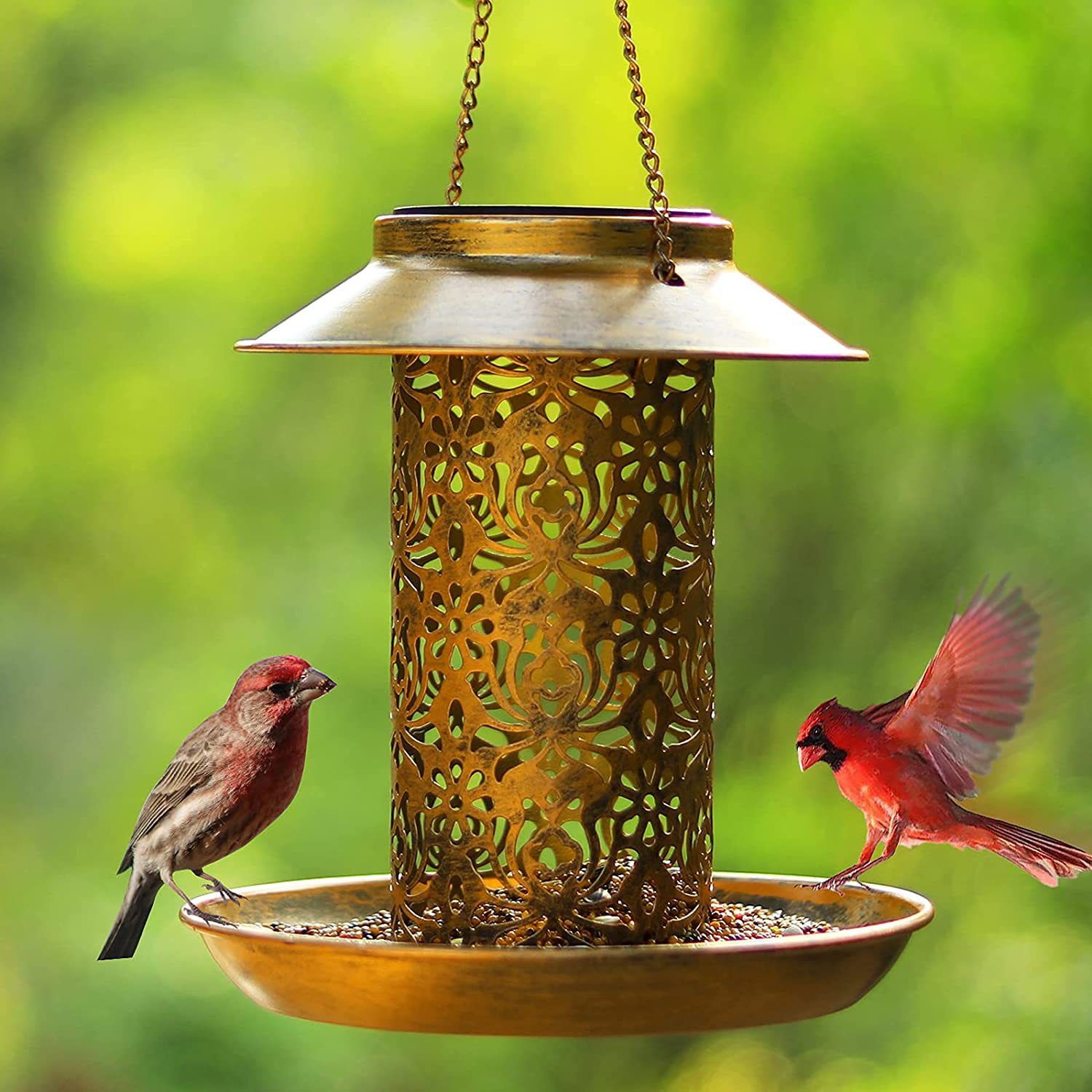 Hanging Bird House Metal Outdo - Outdoor Lighting Ideas For Backyard avis et prix